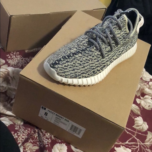 v1 turtle dove